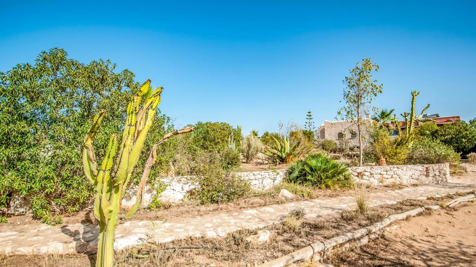 Dar Mana Villa Essaouira